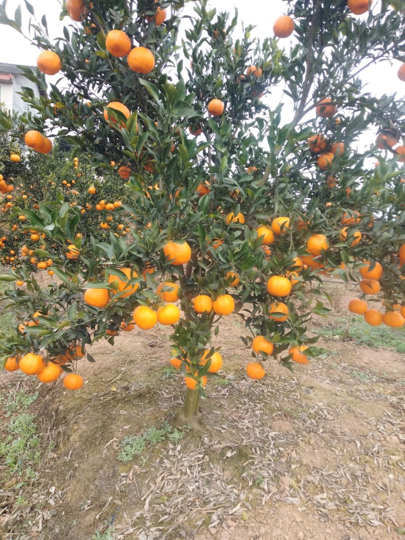 自贡供应商，你的选择有多重要？